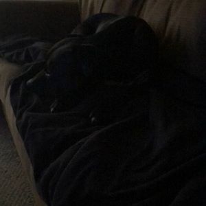 Meet your Posher, Micaela